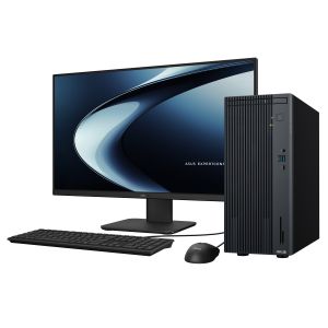 ASUS P500MV i7-13620H 8GB/512 W11P BLK 1Y-OSS + VA249HG Monitor